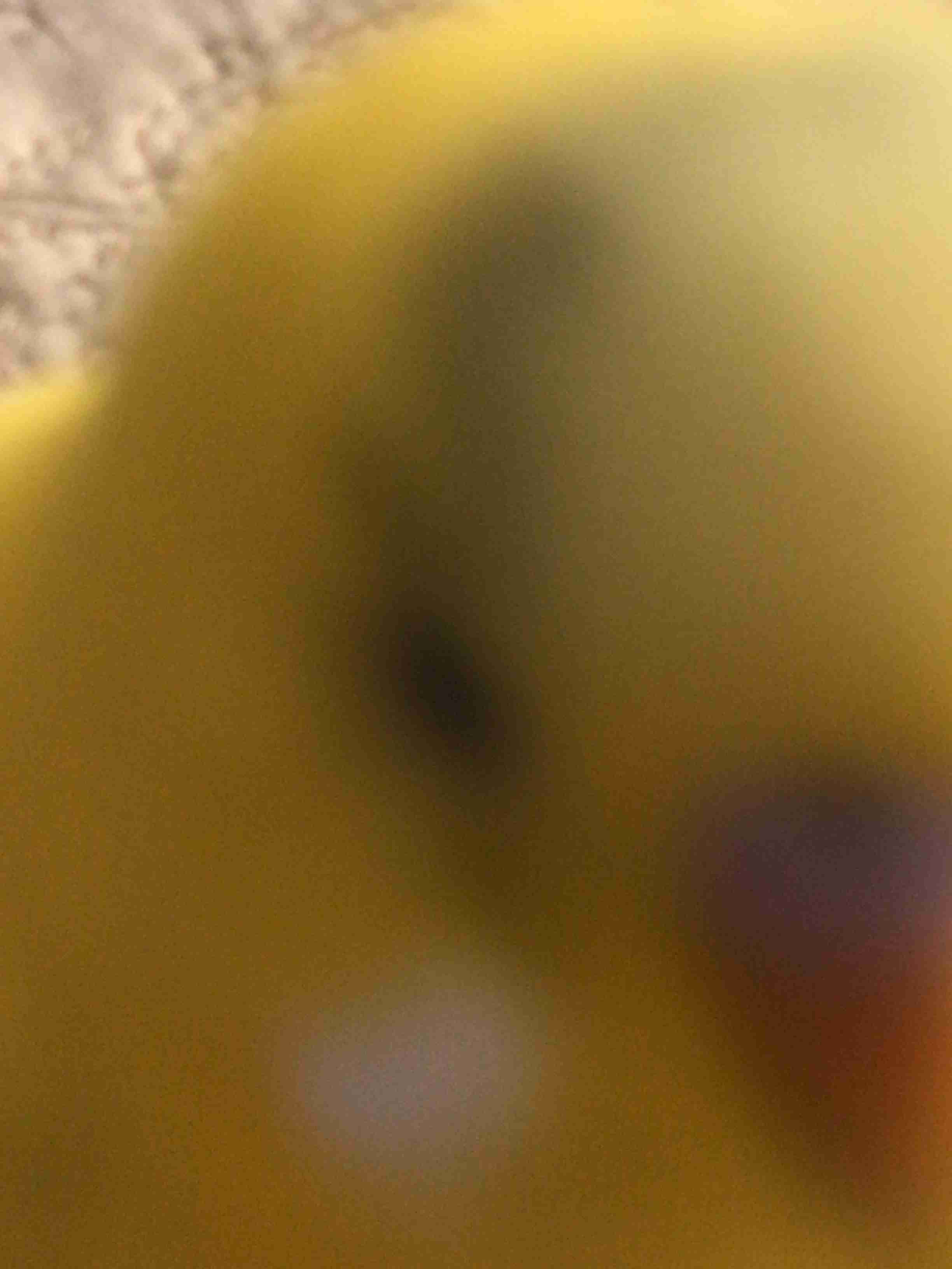 動物~写真へたくそ選手権~part2