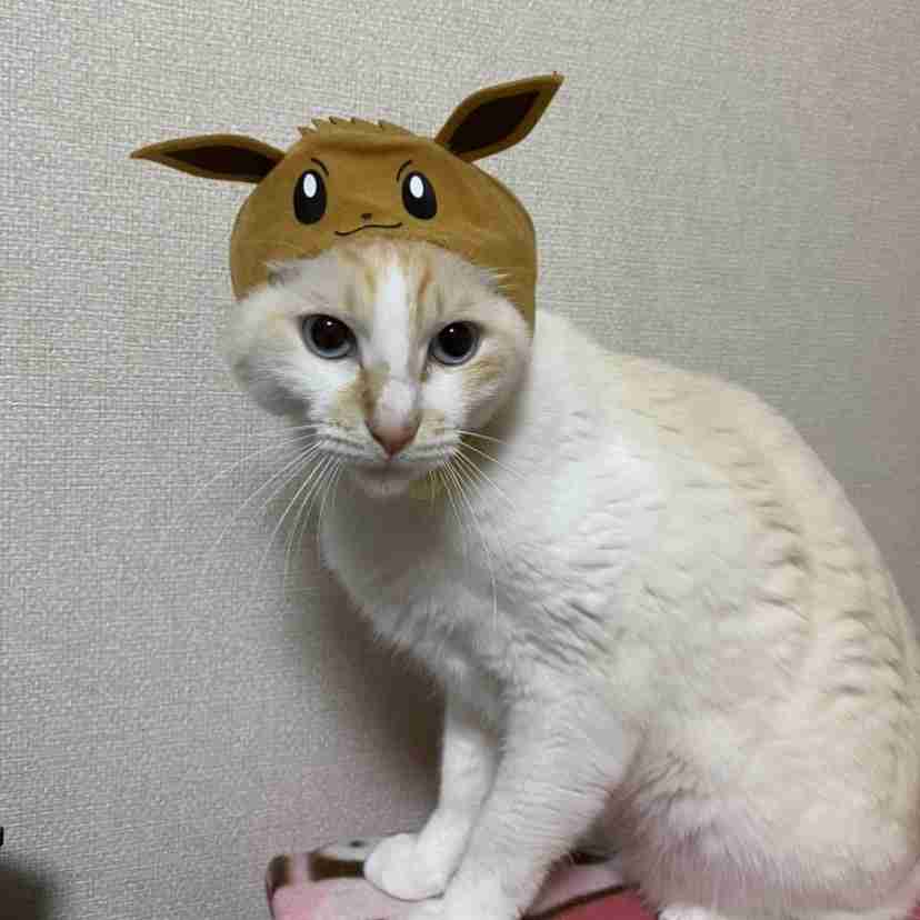 動物~写真へたくそ選手権~part2