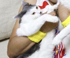 サンシャイン池崎が語る激熱の猫愛　「屋根裏から“猫漏り”」も
