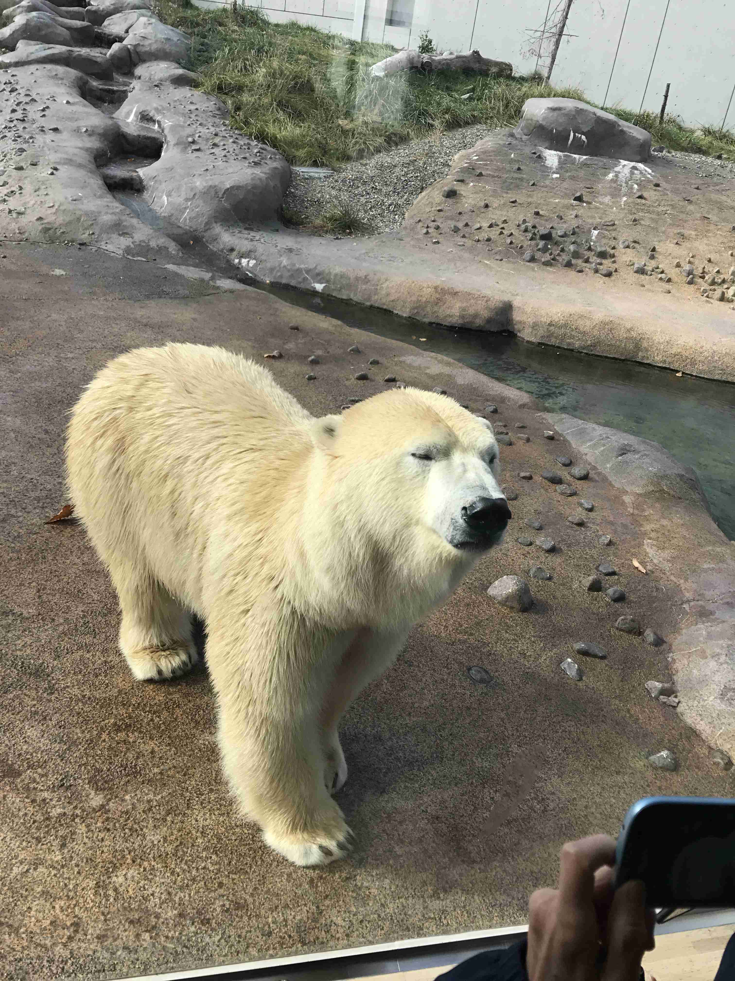 知ったところで何の役にも立たなさそうな情報を書いたり貼ったりしていくトピ