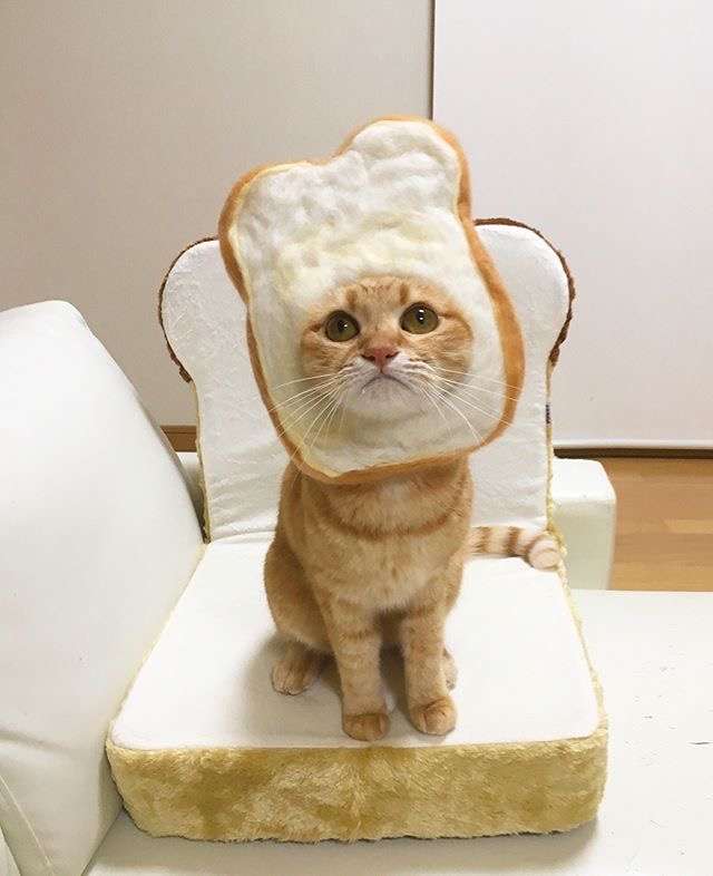 週末みんなで雑談