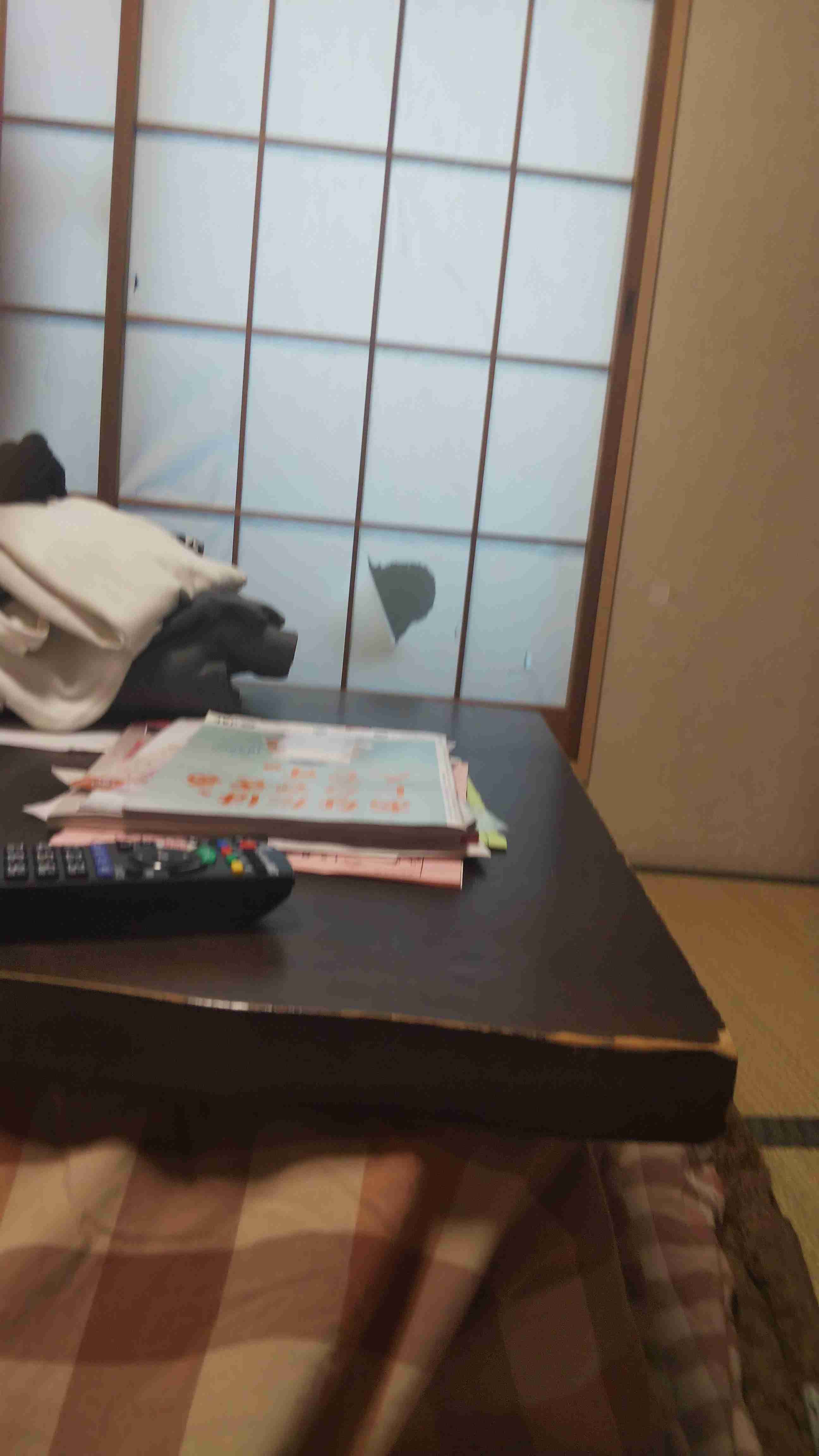 宇垣美里、心のリセット法明かす 多忙極めた1年を回顧
