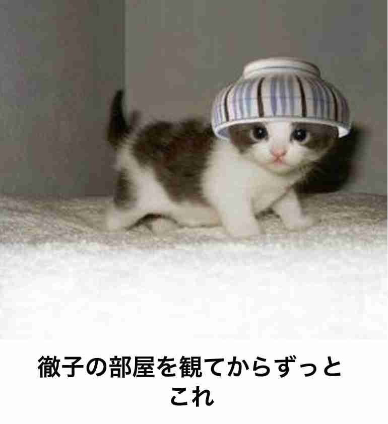 がるちゃん猫カフェ46号店 開店しました♪（初めての方も大歓迎!!）