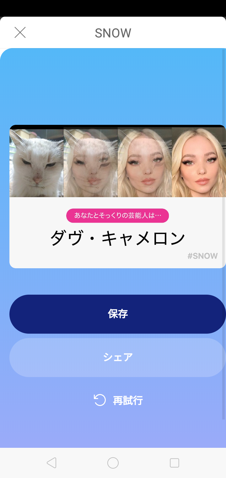 がるちゃん猫カフェ46号店 開店しました♪（初めての方も大歓迎!!）
