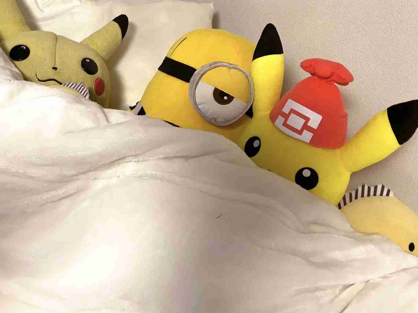 がるちゃん民ぬいぐるみ何個持ってる？