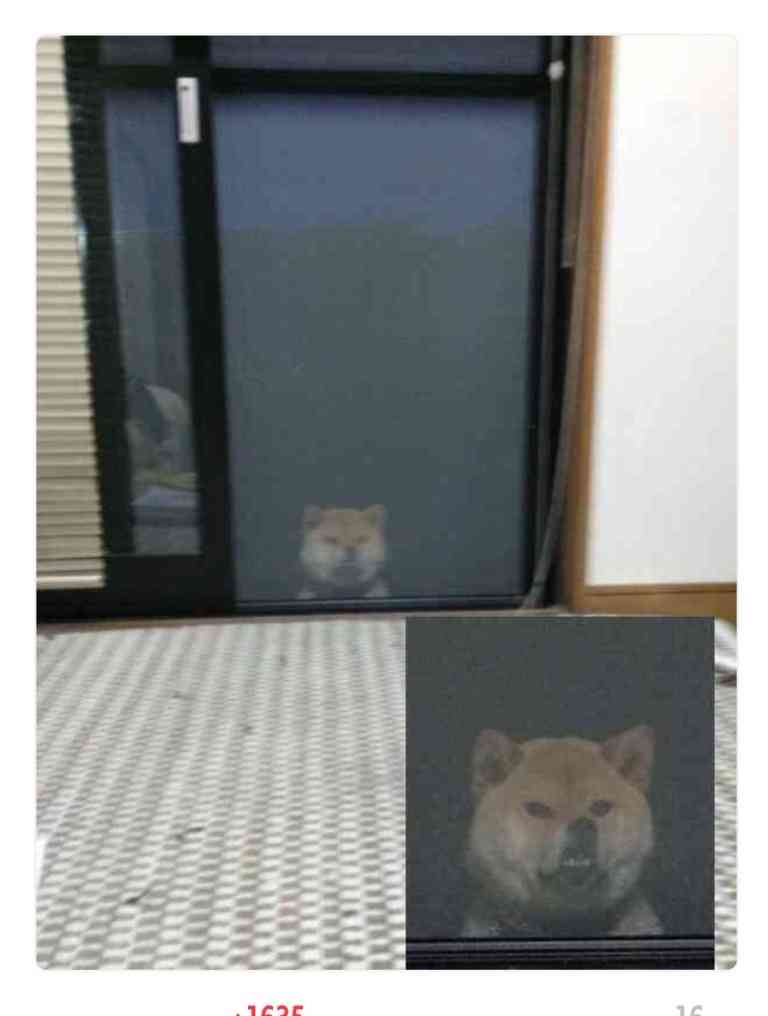 【暇つぶし】画像フォルダの12番目の写真を貼ろう！
