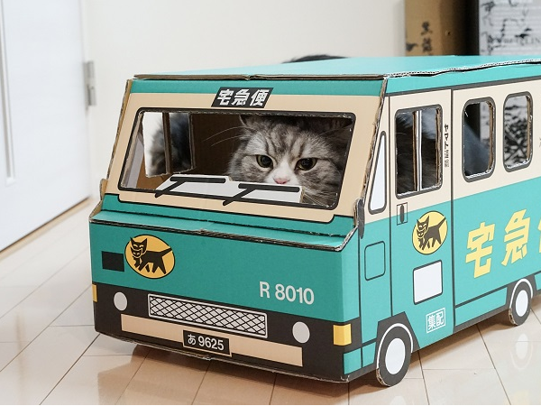 【暇つぶし】画像フォルダの12番目の写真を貼ろう！