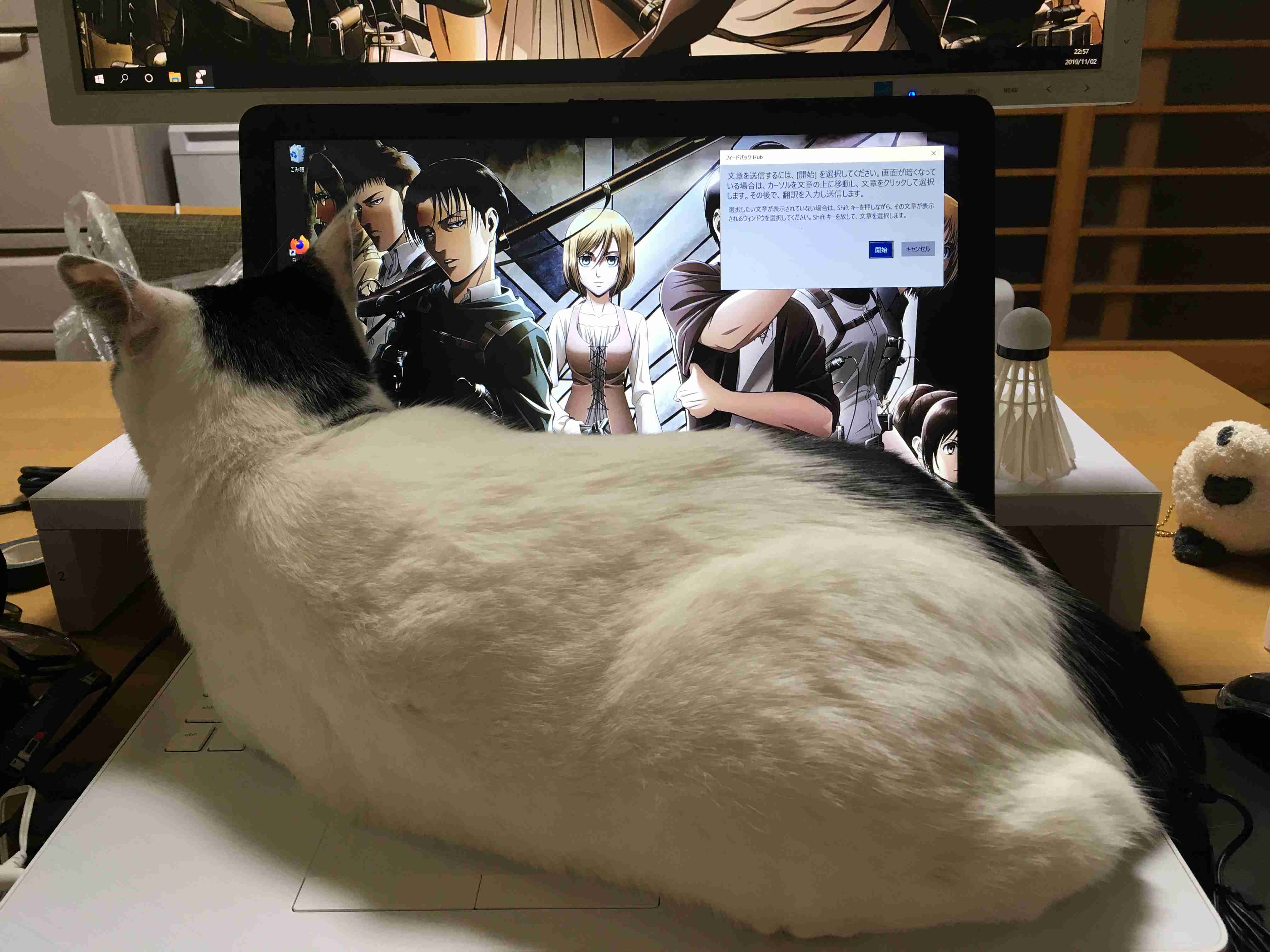 【暇つぶし】画像フォルダの12番目の写真を貼ろう！