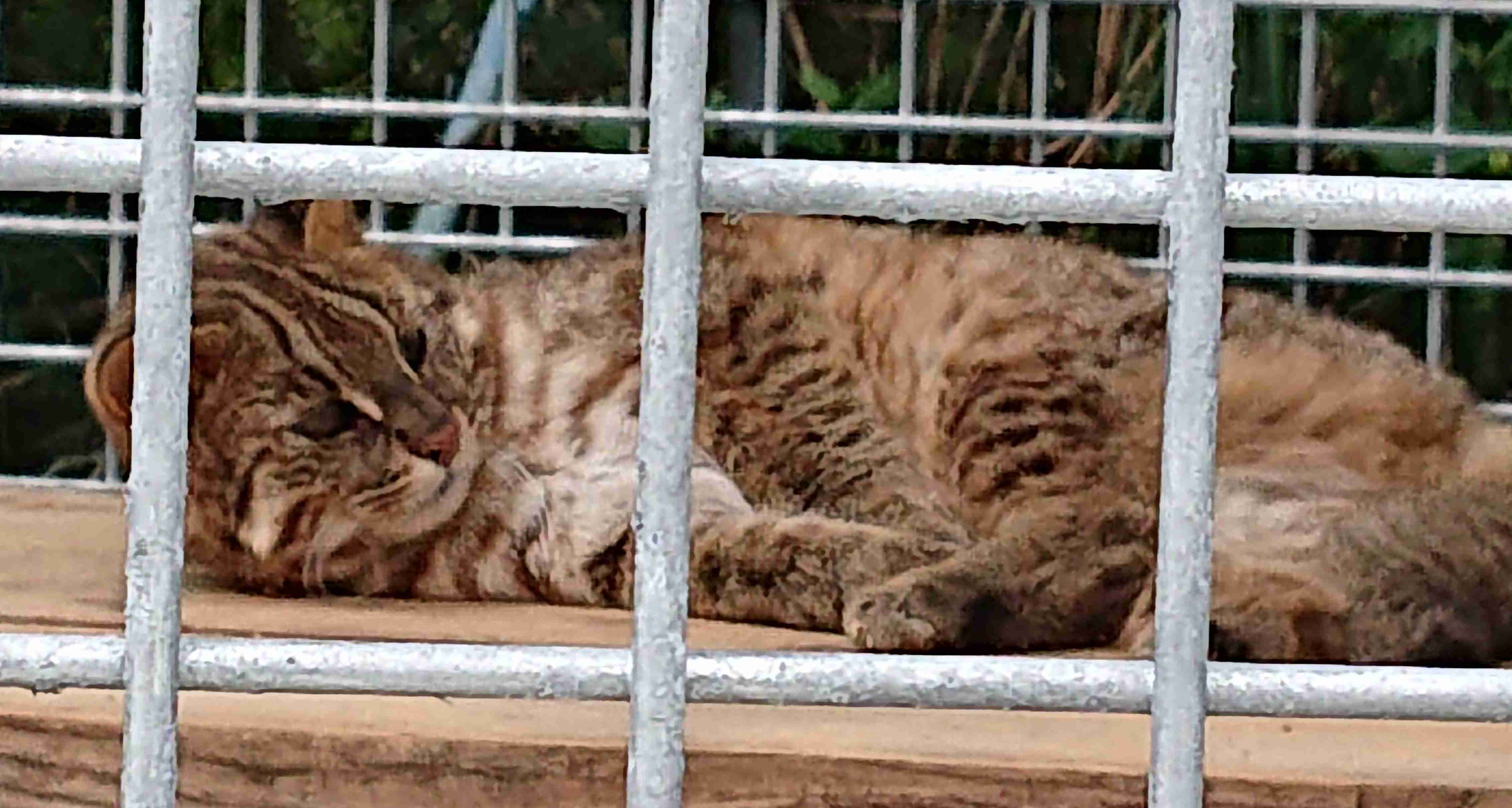 【暇つぶし】画像フォルダの12番目の写真を貼ろう！