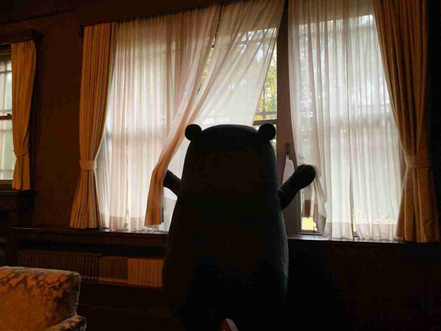 【暇つぶし】画像フォルダの12番目の写真を貼ろう！