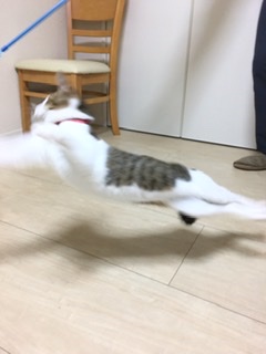【暇つぶし】画像フォルダの12番目の写真を貼ろう！