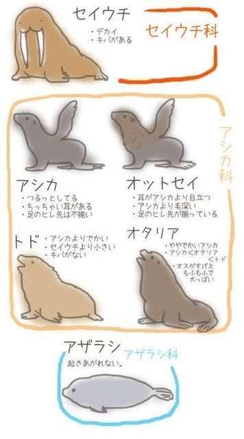 【暇つぶし】画像フォルダの12番目の写真を貼ろう！