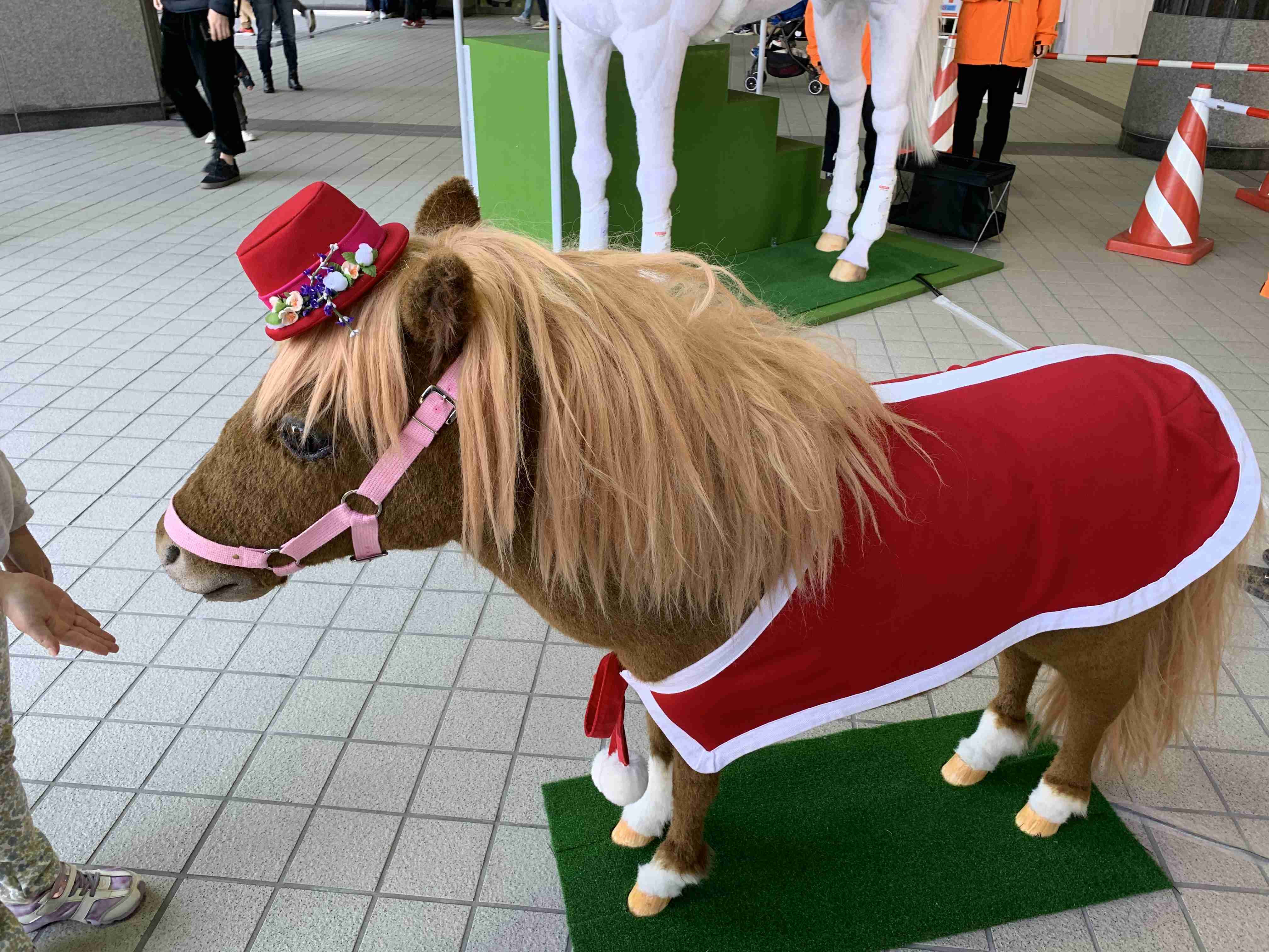 【暇つぶし】画像フォルダの12番目の写真を貼ろう！