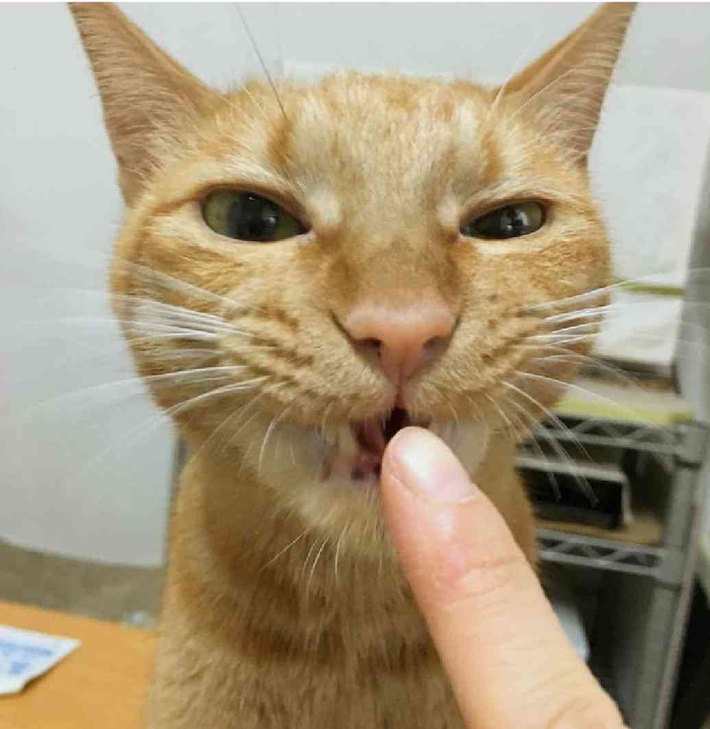 ついつい指ペロしちゃう人