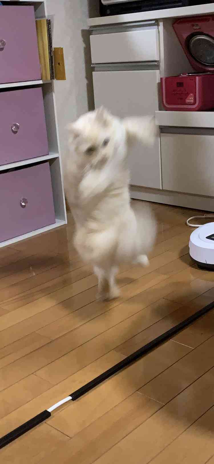 彼氏の女友達が嫌い