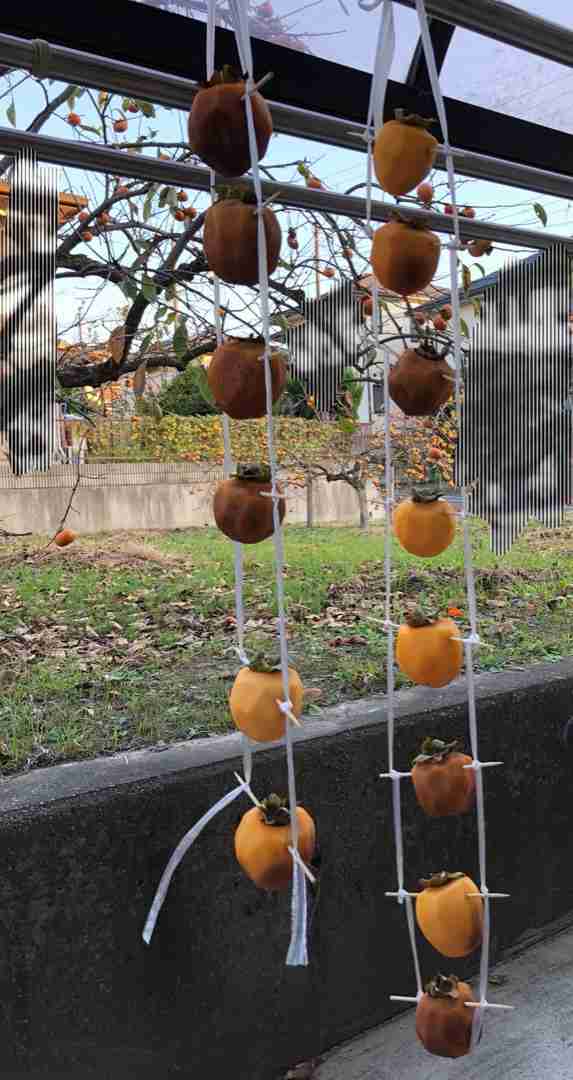 今年中にやり残したこと