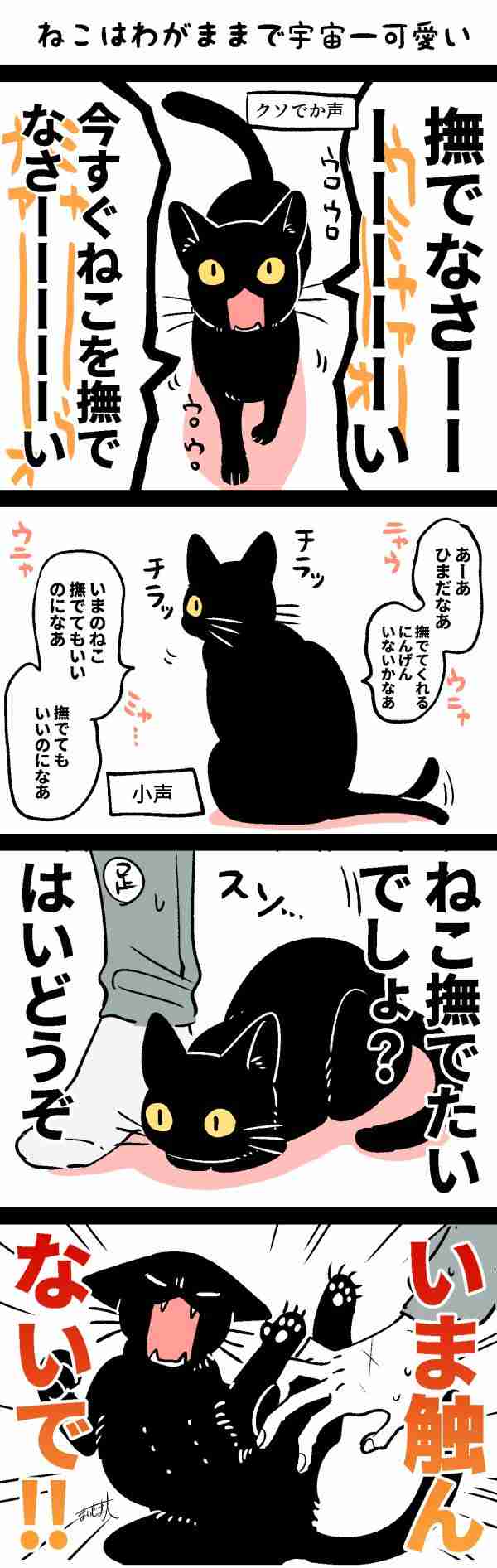 ペットの可愛い行動教えて！