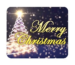 ガルちゃん民集合!クリスマスパーティー☆*°