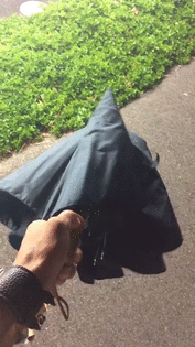 GIFを見て笑ったら負け