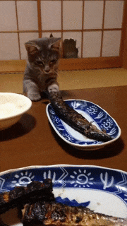 GIFを見て笑ったら負け
