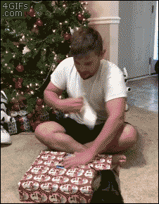 GIFを見て笑ったら負け