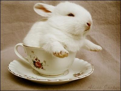 美味しいインスタントコーヒー