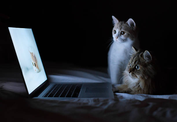 SNSになんでもアップする人
