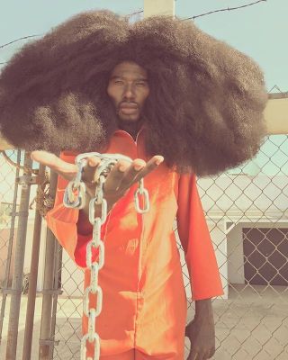 アフロヘアーの画像を貼るトピ