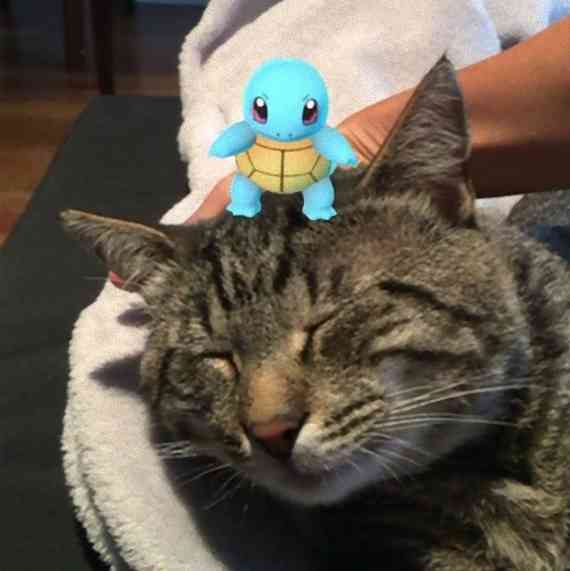 ポケモンGOをやっている人！part.42