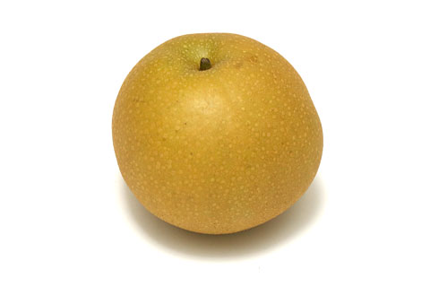 旦那が同僚(男女8人）と旅行に行くのは許せますか？