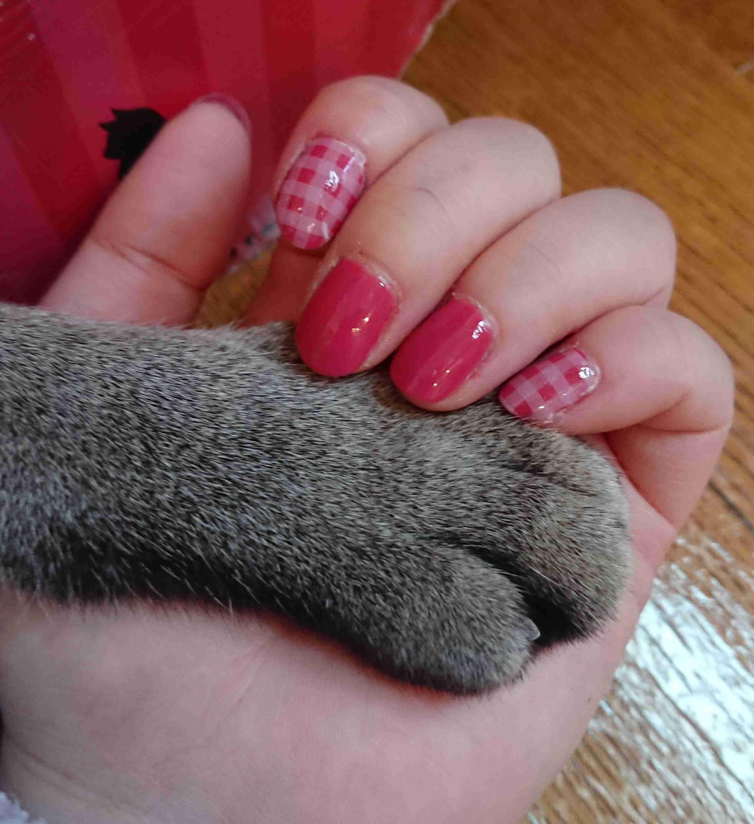 匂わせ画像2019総決算
