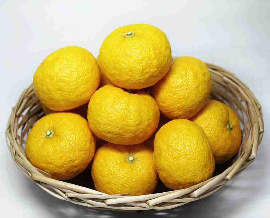 【美味しそう!】様々な食品サンプルが見たい!【面白い!】