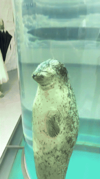 【画像】海洋生物を愛でるトピ