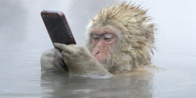 【画像】海洋生物を愛でるトピ