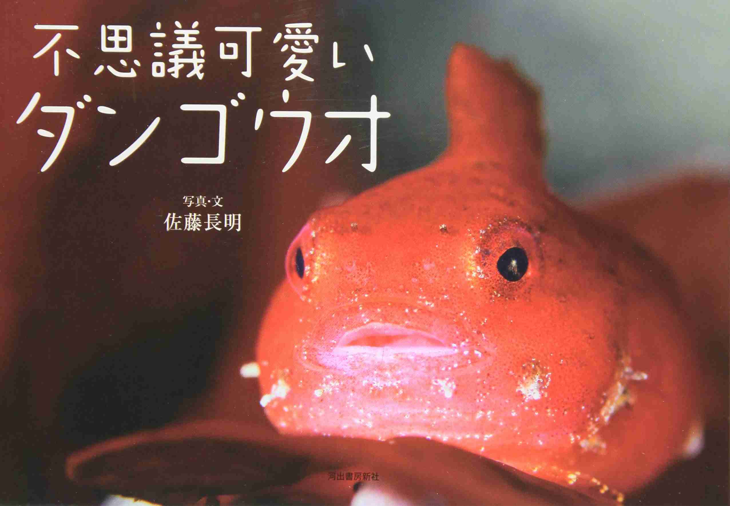 【画像】海洋生物を愛でるトピ