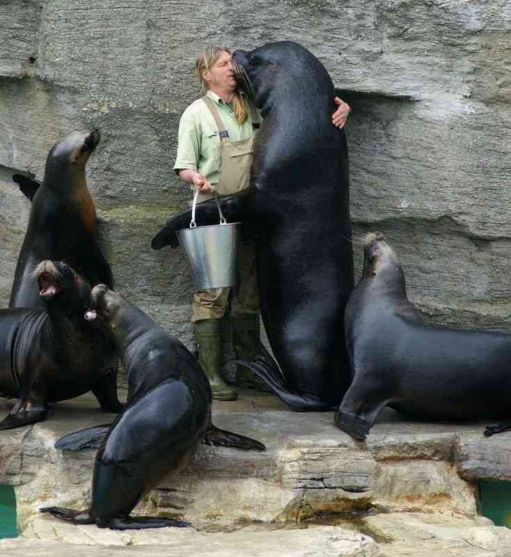 【画像】海洋生物を愛でるトピ