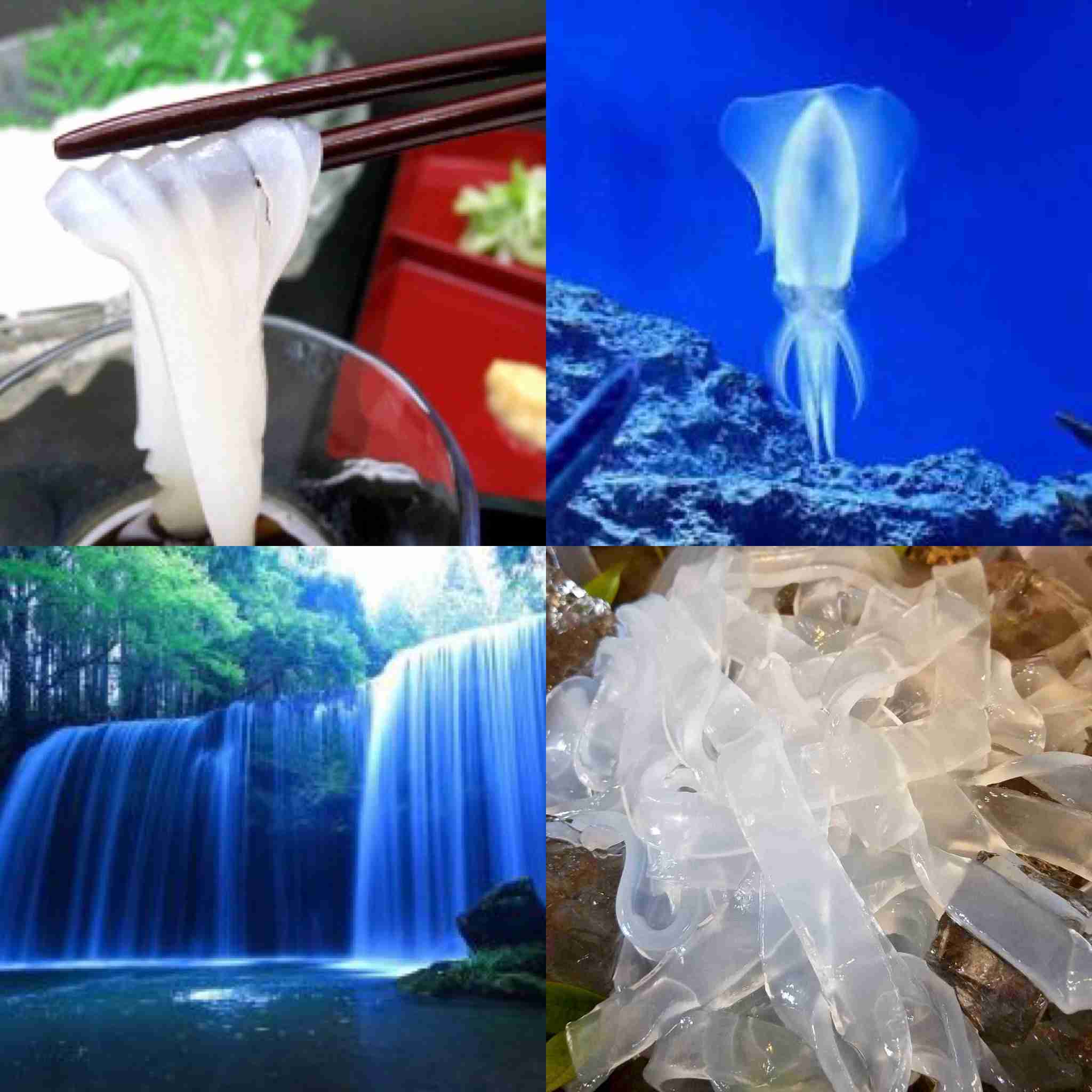 インスタ映え狙ったのに失敗した写真