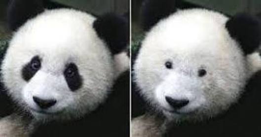 耐久🎍ぼっちの年末年始