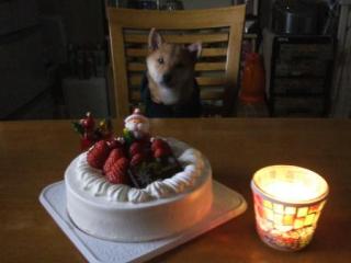 クリスマスの切なくなる画像