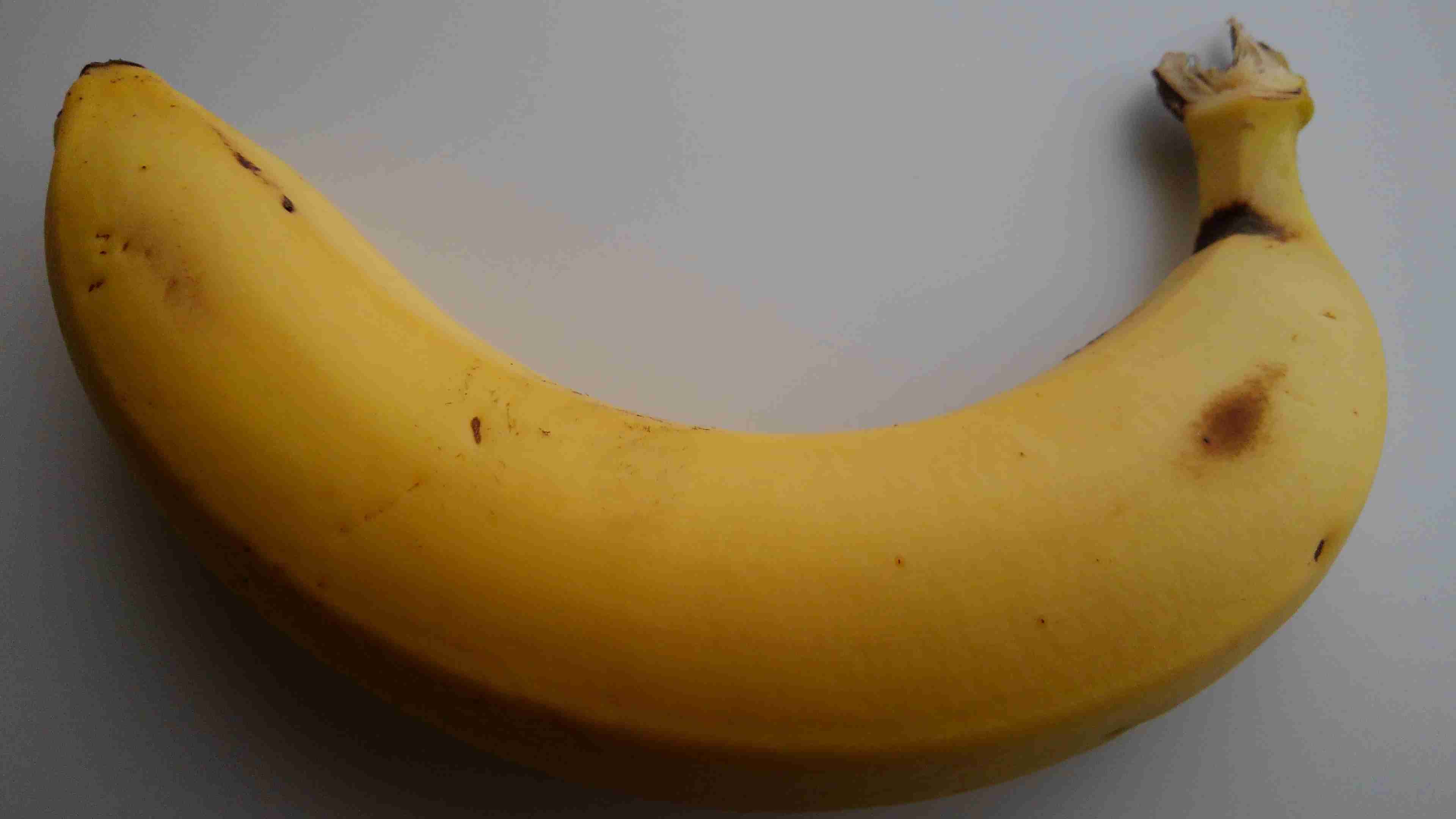 布団から出たくない