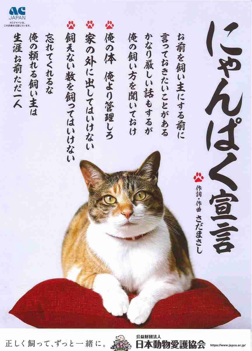 猫を飼っている方