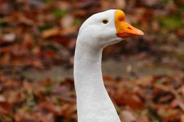 結婚式場でのランチ
