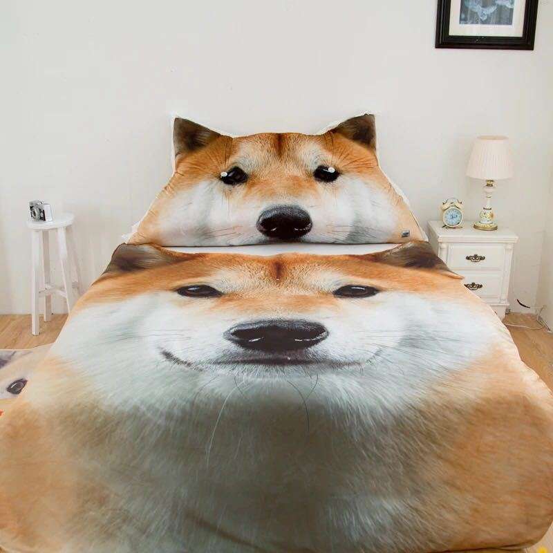 毛布出さずに寝てる人いますか?