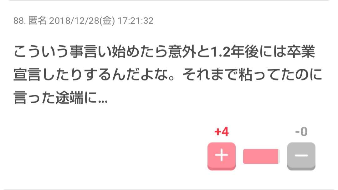 AKB48峯岸みなみ卒業発表!1期生ついにゼロに