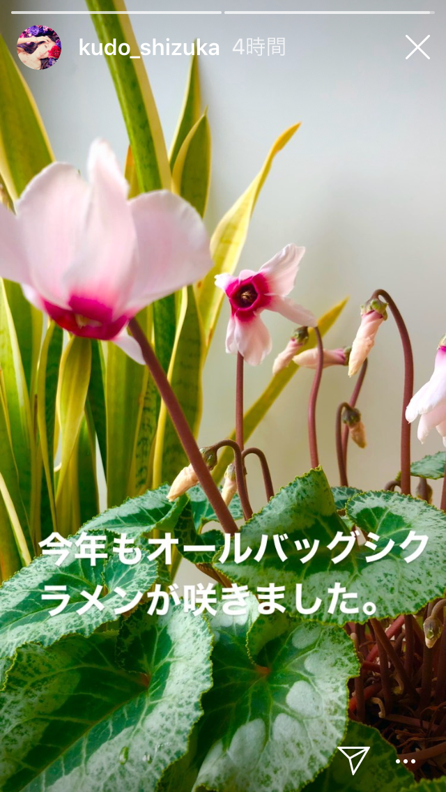 工藤静香 金柑づくしの3品手作り「ご家族の方幸せですね」「美味しそう」