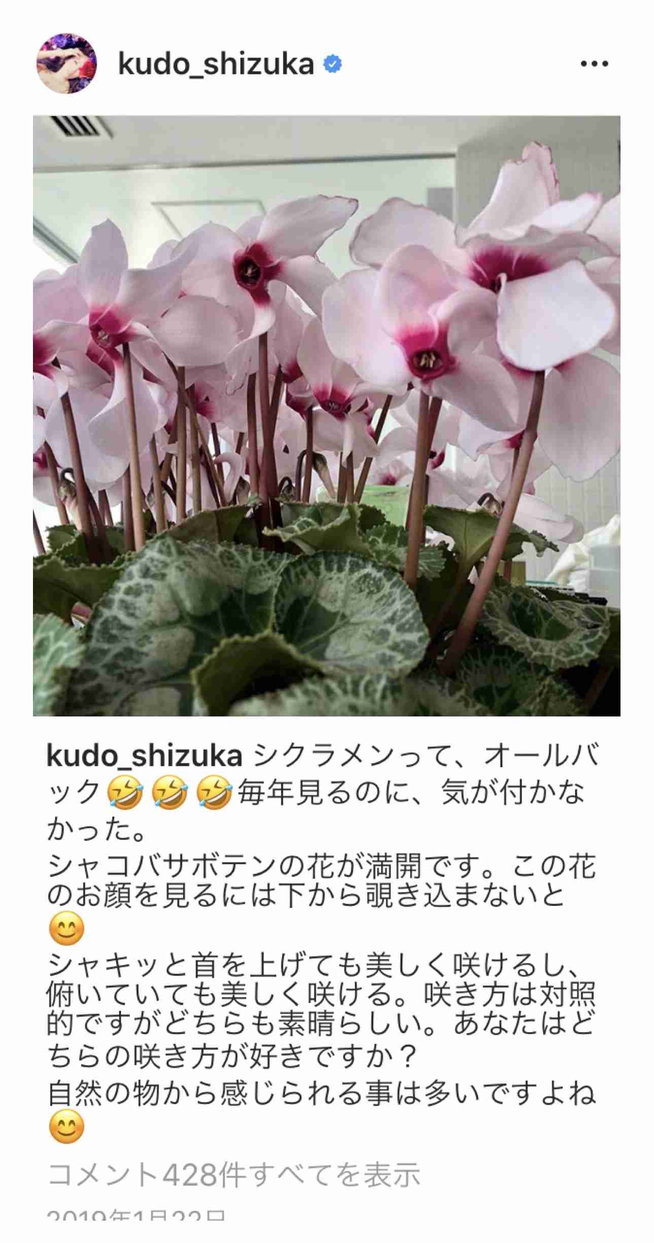 工藤静香 金柑づくしの3品手作り「ご家族の方幸せですね」「美味しそう」