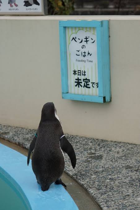 それは切ない…思ったらプラスするトピ