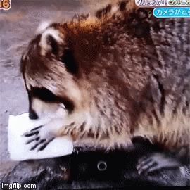 それは切ない…思ったらプラスするトピ