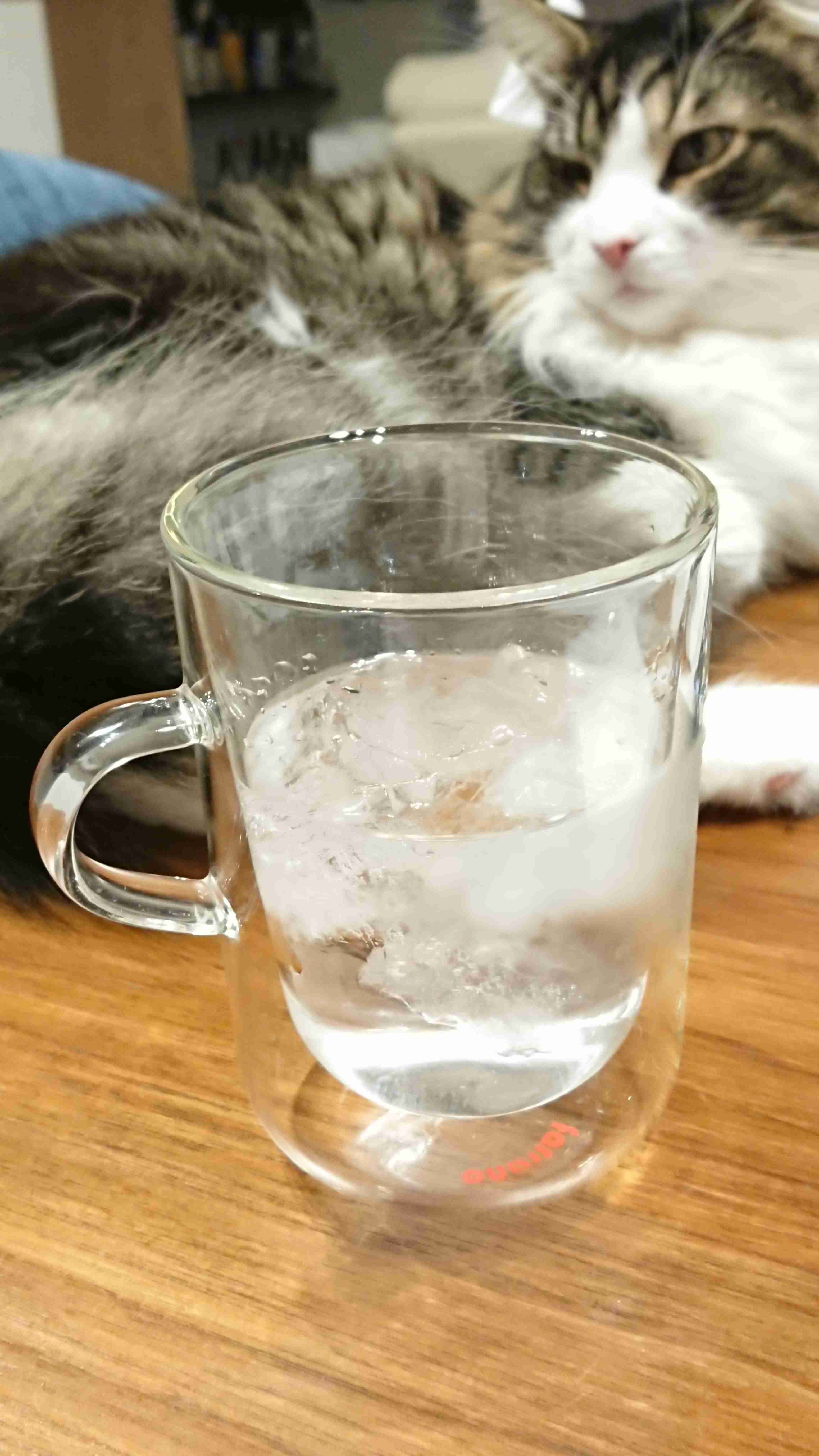 お酒を美味しく飲むトピ