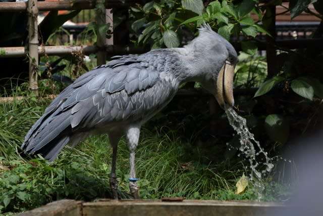 NGT48・中井りか、SNS写真への批判にブチギレ「加工加工ってうるせえんだよ」